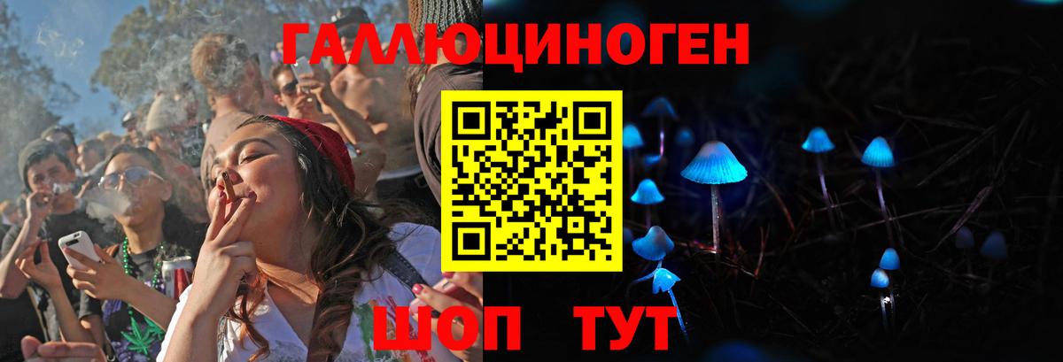 Краснотурьинск  Псилоцибиновые грибы Psilocybe  Галлюциногенные грибы Psilocybe  Вход с VPN 